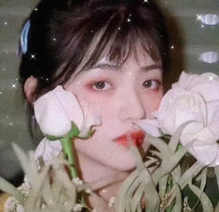 少年的秘密日记